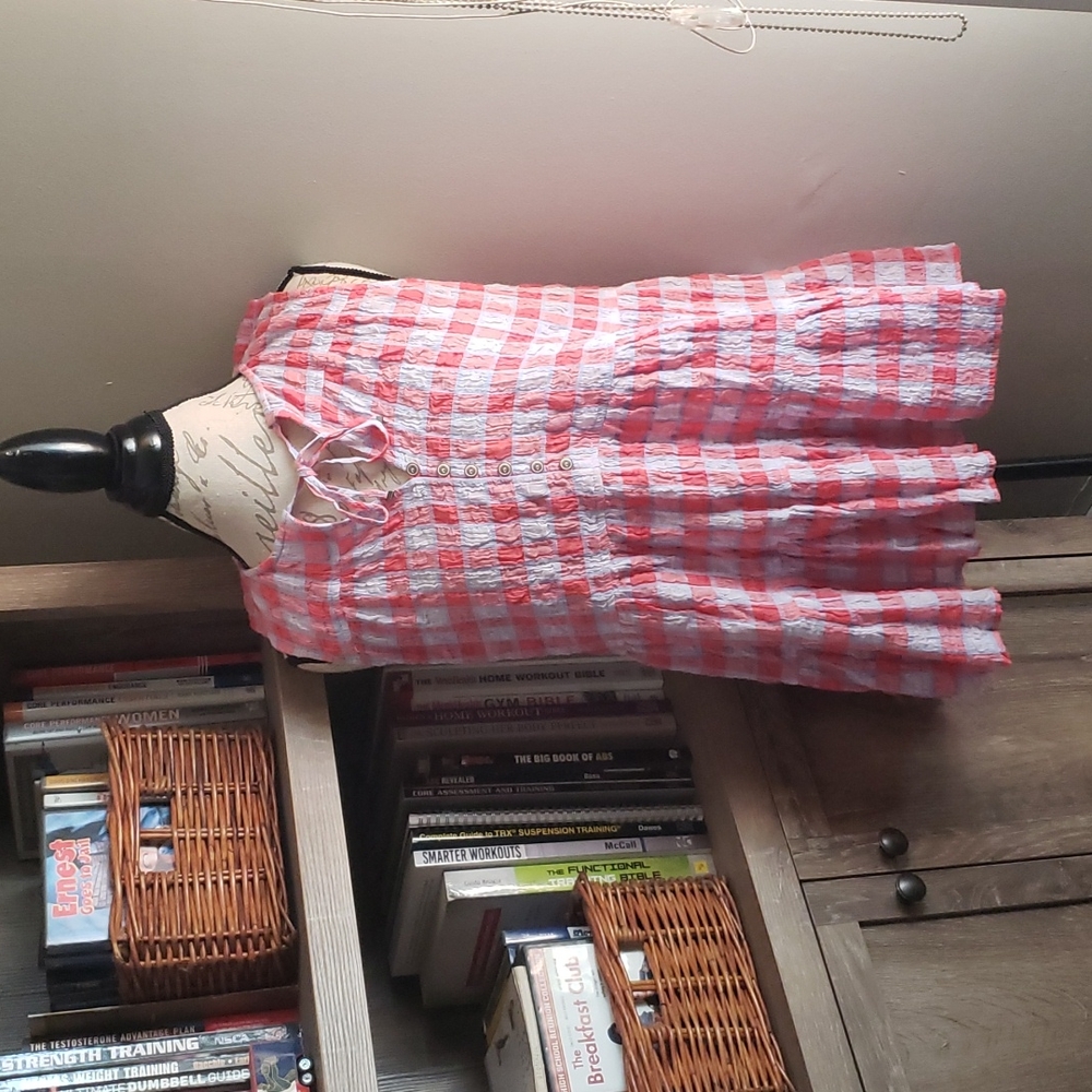 Anthropologie Pilcro and the Letterpress sleeveless tiered ruffle top